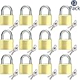 Solid Brass Same Keyed Padlock keyed Alike Locks of 12 Pack, Solid Lock with (25mm) Wide Lock Body, Keyed Padlocks for Toolbox, Luggage,School lockers, Backpacks