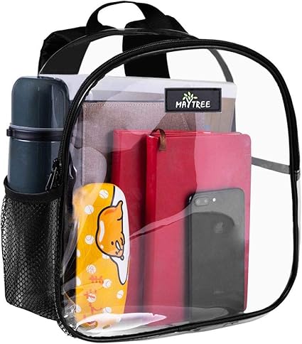 small transparent backpack