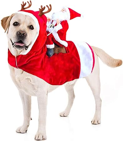 amazon dog christmas