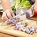 COZILIFE Chef Knife - Eagle Series, 8 Chefs Knife, Mirror Poilished, Forged Blade, Full Tang, German Steel, Pakka Wood Handle.