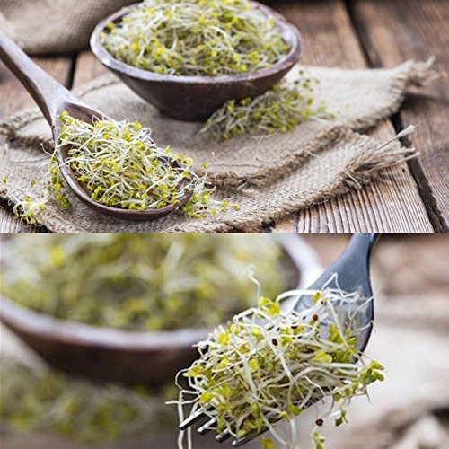 image for Novia Marcus 2 Pack Stainless Steel Sprouting Lids - 2 in 1 Superb Ven