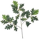 jiumengya 6pcs Artificial Oak Tree Leaf Stems Faux Oak Tree Branches Green Plant for Greenery Wall Floral Decoration (Green) 75cm Ficus lyrata