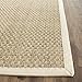 SAFAVIEH Area Rug 3x5 - Natural Fiber Collection - Natural & Ivory, Seagrass, Basketweave Pattern with Border (NF114J)