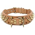 Berry Pet 2" Spiked Leather Dog Collar - Anti-Bite Sharp Rivet Studded for Pit Bull Medium Large Dogs,Brown Neck for 18.5-23.5" Total Length 25.5"