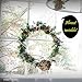 SillyCute Super Heavy Duty Suction Cup Hook, Powerful Suction Lasts Years, Strong Hanger for Bathroom, Kitchen Accessories, Wreath, Bird Feeder, Christmas Lights and More, Clear, 3 1/4