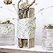 Wood Planter Box Set, Rustic Whitewash, Country House Charm, Plastic Liners, Long Rectangle, 12 x 4 Inch, Wedding Decor and Floral Arrangements, Natur