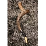 40' Full Natural Kosher Yemenite Kudu Horn Shofar
