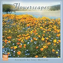 Flowerscapes - Artwork By Amy Melious 2018 Wall Calendar (CA0167) Flowerscapes - Artwork By Amy Melious 2018 Wall Calendar (CA0167)