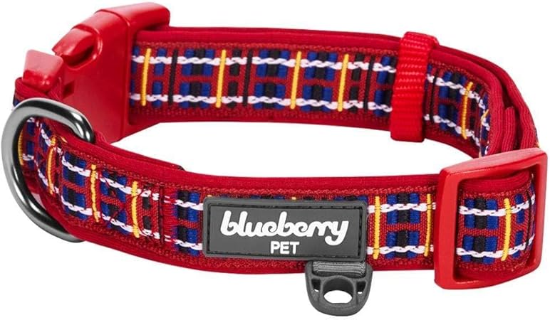 amazon blueberry collar