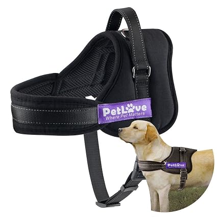 Harnais Pour Chien Petlove Harnais Pour Chien Avec Une Douce Laisse Rembourrée Empêchant Les Chiens De Se Dégager Avec Toutes Les Tailles Xxl Noir