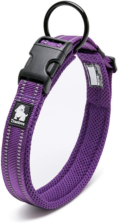 best reflective dog collar