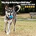 Livin' Well Dog Toys and Puppy Toys - 11 Piece Value Dog Toy Variety Pack with Dog Chew Toys and Teething Toys