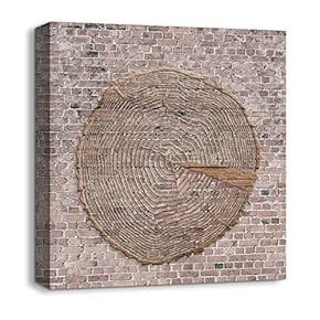 Canvas Wall Art Wood Feature Abstract Painting Artwork for Home Prints Framed - 12x12 inches
