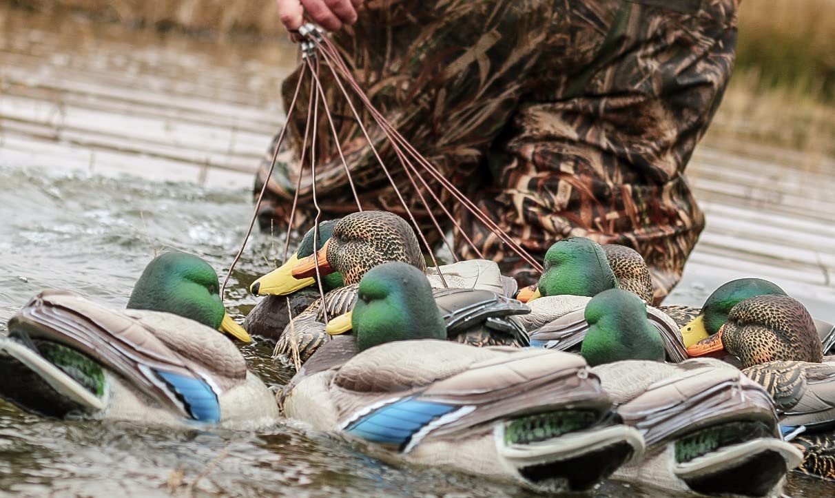 Lifetime Decoys 48" 6oz Texas Rig Decoy Rigs Pricepulse