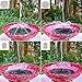 Tranmix Solar Fountain Pump for Bird Bath, 2018 Upgraded Floating Fountains Solar Panel Kit Water Pump for Ponds, Garden, Outdoor Décor