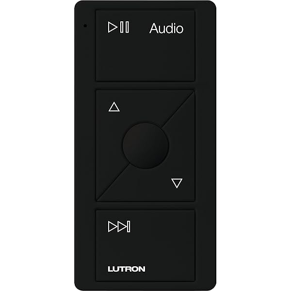 sonos wireless controller