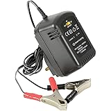 Lead Acid Battery Charger | 2/6/12V 600mA