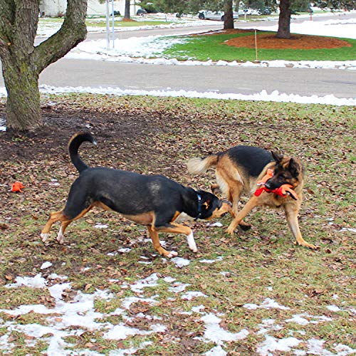 Jalousie 5 Pack Value Bundle Dog Toys Assortment Dog Plush Toys Dog