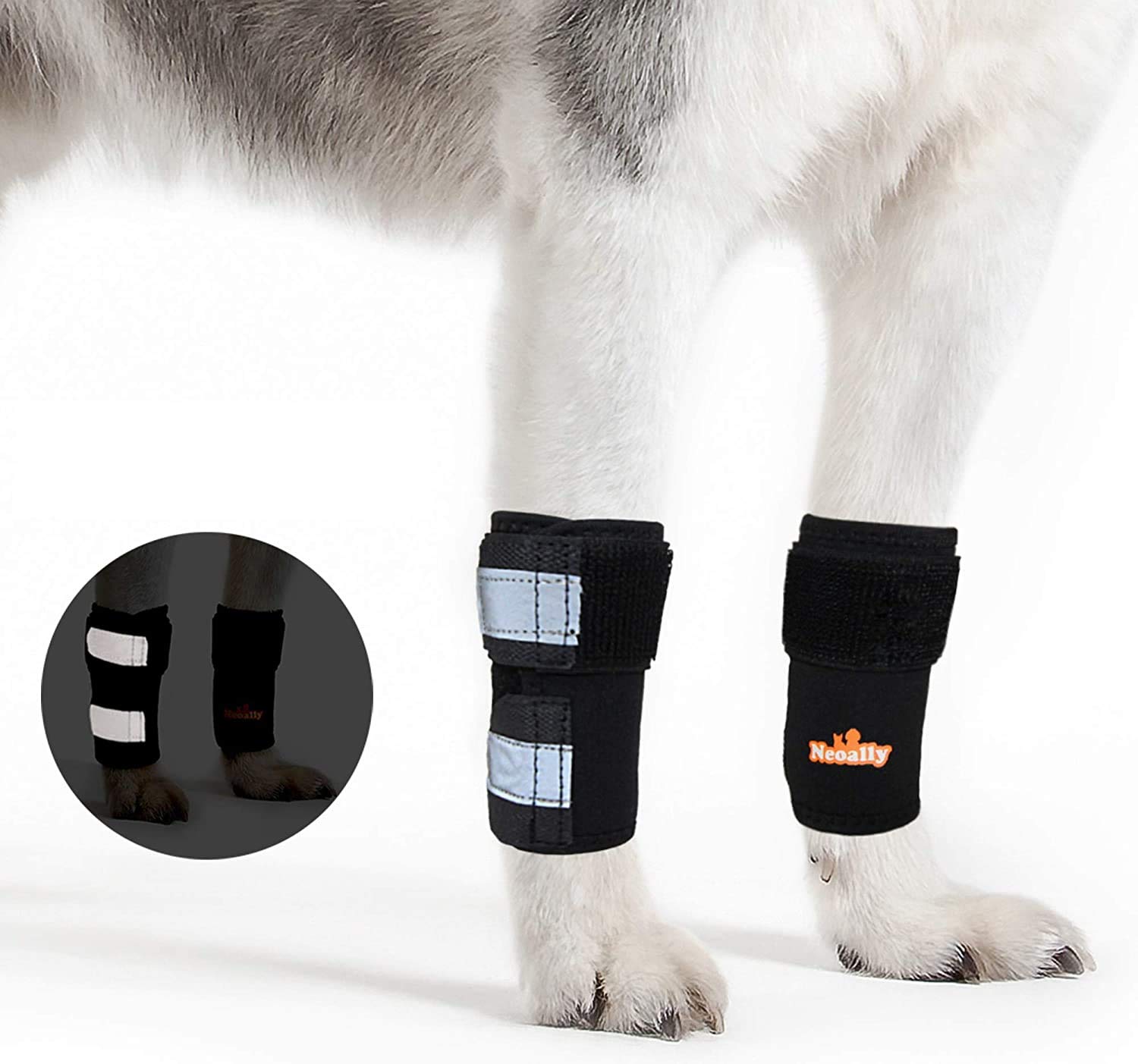 NeoAlly Front Leg Brace for Dog & Cat, Canine Carpal Support with Safety Reflective Straps for Front Hock Injury Prevention, Joint Pain and Loss of Stability from Arthritis (XXS/XS Pair)