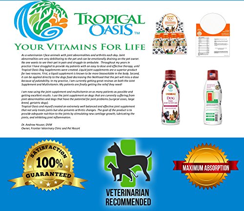 VETERINARIAN DEVELOPED Hip & Joint Supplement for Dogs - Max Strength Liquid Glucosamine for Dogs w/Chondroitin, MSM, Hyaluronic Acid PLUS Collagen -Arthritis Pain Relief for Dogs -16oz, Up to 64 Serv
