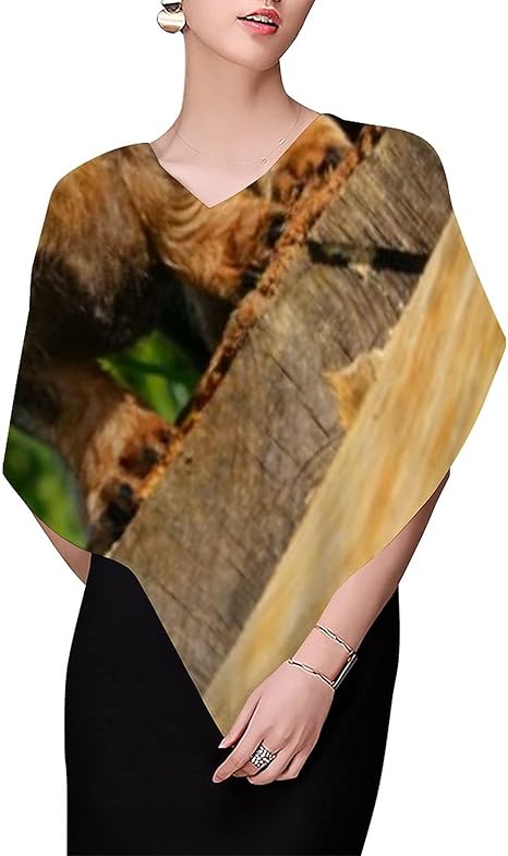 Lindo perro salchicha Dackel Retrato de la foto de las bufandas para