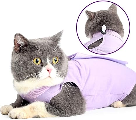Vetement Professionnel De Convalescence Pour Les Plaies Abdominales Ou Les Maladies De La Peau Collier Alternatif Pour Chats Et Chiens Apres Une Chirurgie Pyjama Amazon Fr Animalerie