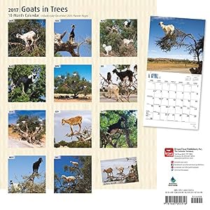 Goats in Trees 2017 Square