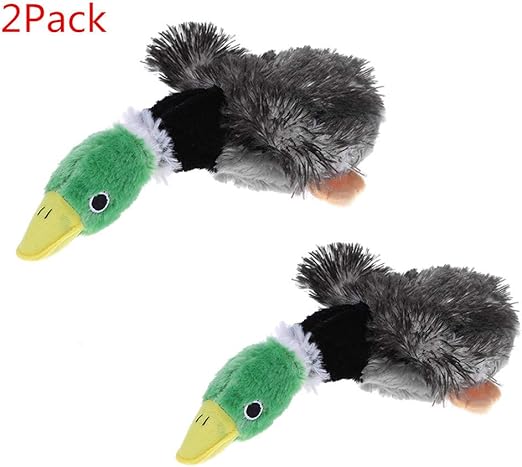 amazon duck dog toy