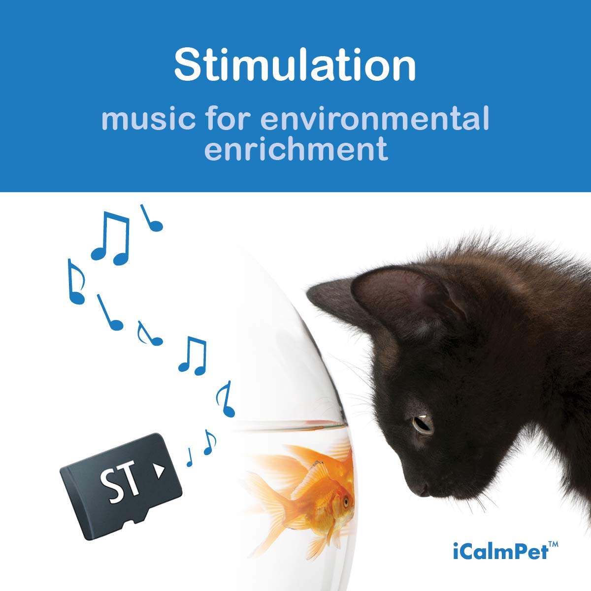 iCalmPet | Through a Cat's Ear: Stimulation | MicroSD Card | 1-hr | Music for Feline Environmental Enrichment