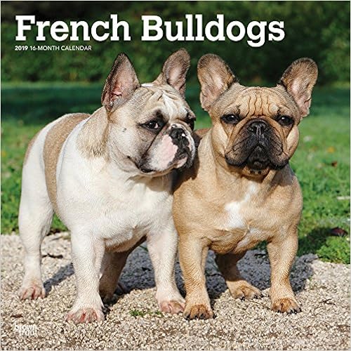 French Bulldogs 2019 12 x 12 Inch Monthly Square Wall Calendar, Animals Dog Breeds French (Multilingual Edition) French Bulldogs 2019 12 x 12 Inch Monthly Square Wall Calendar, Animals Dog Breeds French (Multilingual Edition)