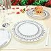 60PCS Heavyweight White with Silver Rim Wedding Party Plastic Plates,Disposable Plastic Plates,30-10.25inch Dinner Plates and 30-7.5inch Salad Plates -WDF (White/Silver Forest)