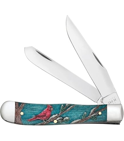 Amazon.com : Case WR XX Pocket Knife Abalone Mini Copperlock Item