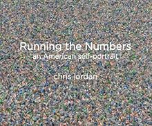 Running the Numbers: An American Self-portrait