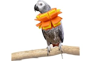 VOMVOMP Neck Collar for African Grey Parrots Feather Plucking Bird Anti Bite Collar Neck Shield