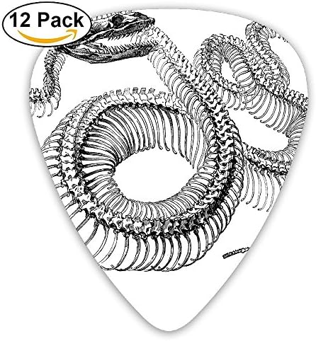 Snake Skeleton Skull Fashion Celluloid Printing Guitar Picks 12 Pack