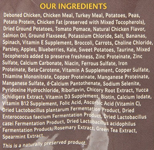 Wellness CORE Puppy Dog Food - Image 3