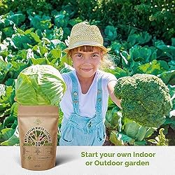 30 Most Popular Winter Vegetable Garden Seeds