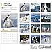 Penguins 2017 National Geographic Wall Calendar