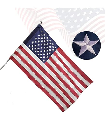 Amazon.com : United States 1959-1960 49 stars Flag 2' x 3' for a
