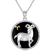 Twoowl 12 Constellation Necklace 925 Sterling Silver Zodiac Sign Coin Pendant Necklaces Black Onyx Astrology Horoscope Jewelry Birthday Gifts for Women Men