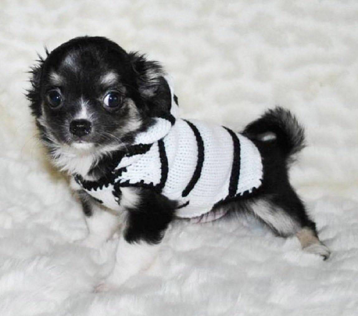 ADogFashionADogFashion XXS Dog Sweater Zebra Dog Costume XX Small Dog Clothes Teacup Chihuahua Yorkie Puppy Clothing Hoodie