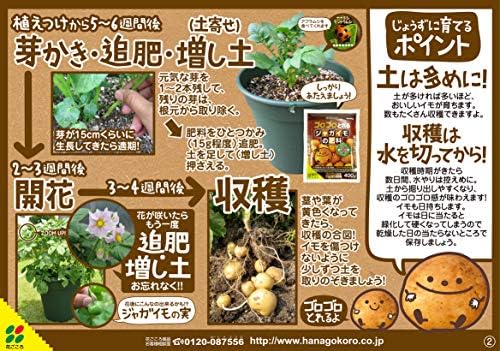 Amazon 花ごころ ジャガイモの肥料 400ｇ 肥料 土壌改良剤