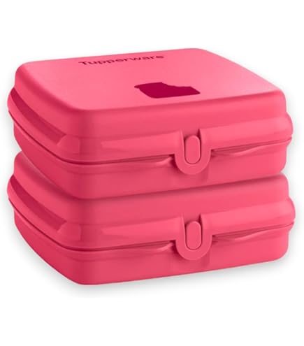 Amazon.com: Tupperware Sandwich Keeper Set in Purple, Hinged Cover