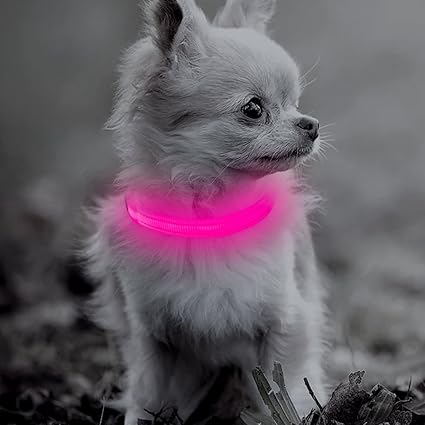 bseen led dog collar