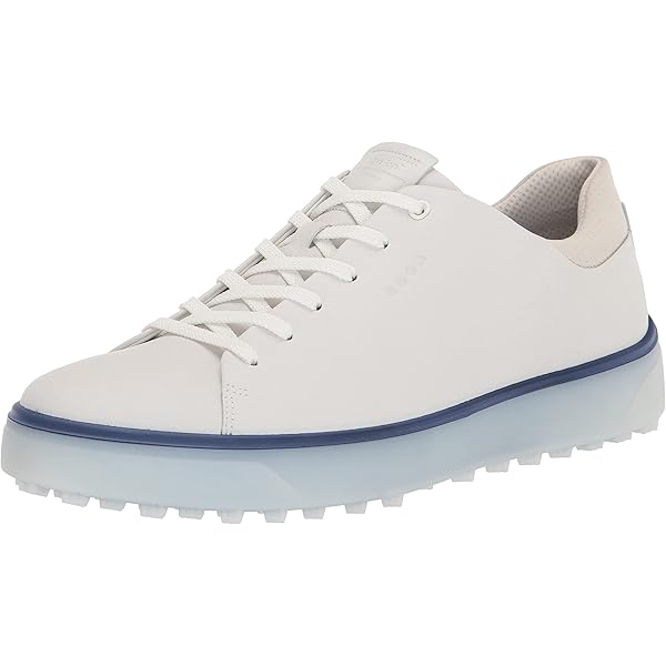 Amazon.com | Biom Hybrid 4 BOA Gore-TEX Waterproof, White/Retro