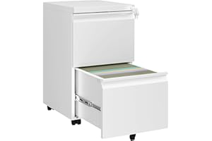 HOMSTEEL 2 Drawers File Cabinet, Metal Filing Cabinet with Lock, Mobile Vertical with Fully Assembled Except Casters, for Home Office, for A4, Letter, Legal File Folders, White