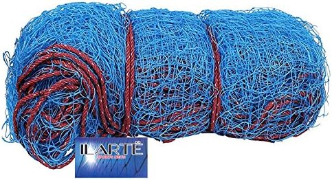 ILARTE Nylon Cricket Net (100x10, Blue)