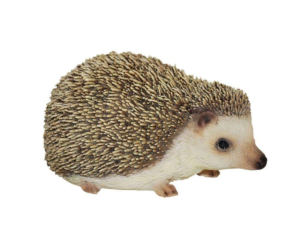 Gardening Delights Pet Pals Pygmy Hedgehog