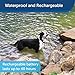 PetSafe 300 Yard Remote Trainer, Rechargeable, Waterproof, Tone / Vibration / 15 Levels of Static Stimulation for dogs over 8 lb.thumb 4