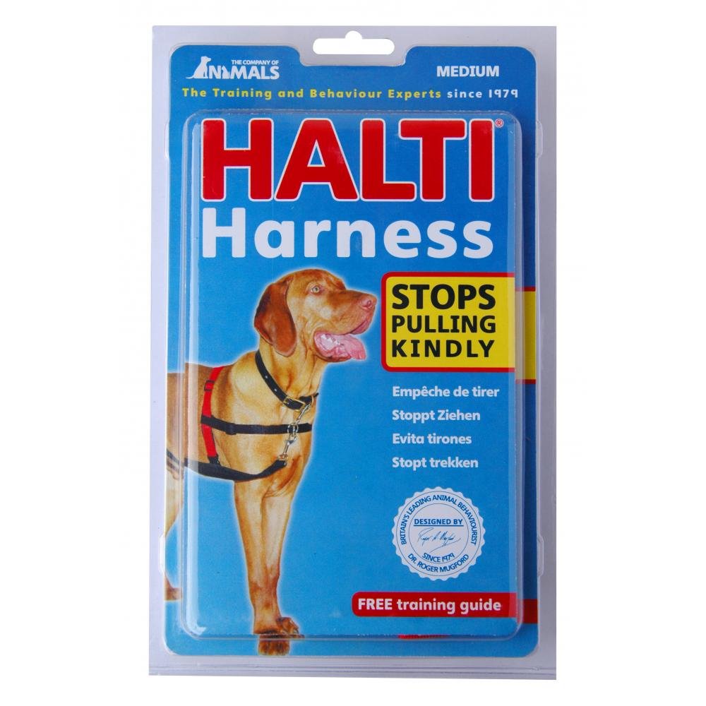 halti harnesses